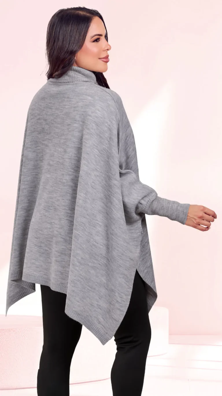 5297 gris 1